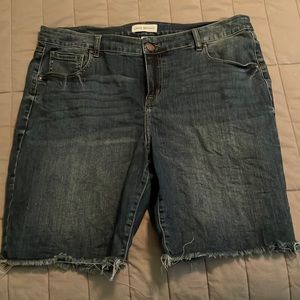Lane Bryant Jean shorts